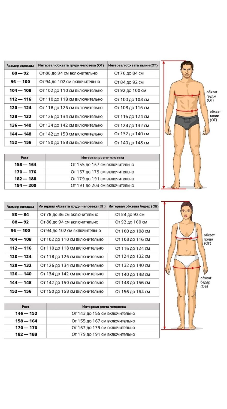 таблица размеров одежды в груди фото 6